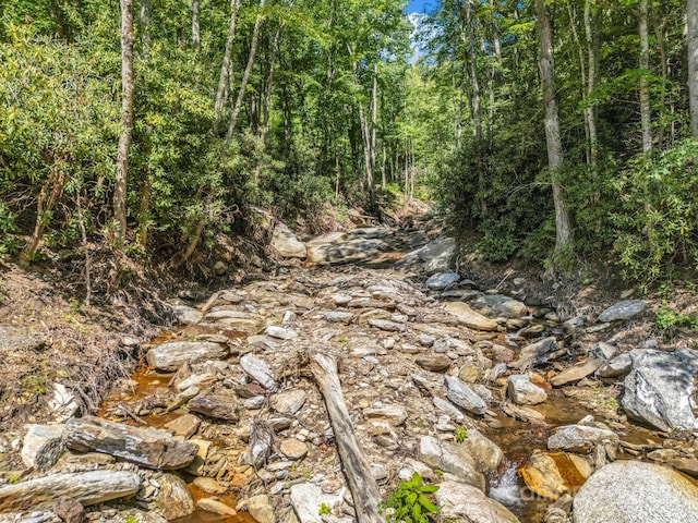 2716 Lower Flat Creek Rd, Black Mountain, NC 28711 - photo 23