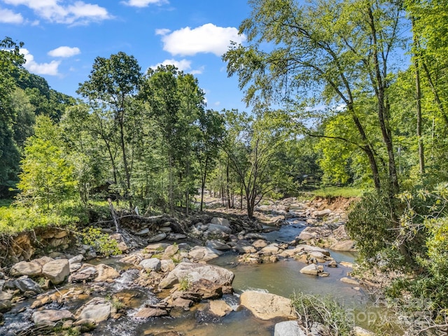 2716 Lower Flat Creek Rd, Black Mountain, NC 28711 - photo 25
