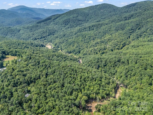 2716 Lower Flat Creek Rd, Black Mountain, NC 28711 - photo 28