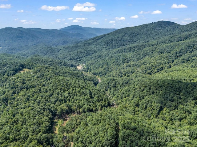 2716 Lower Flat Creek Rd, Black Mountain, NC 28711 - photo 29