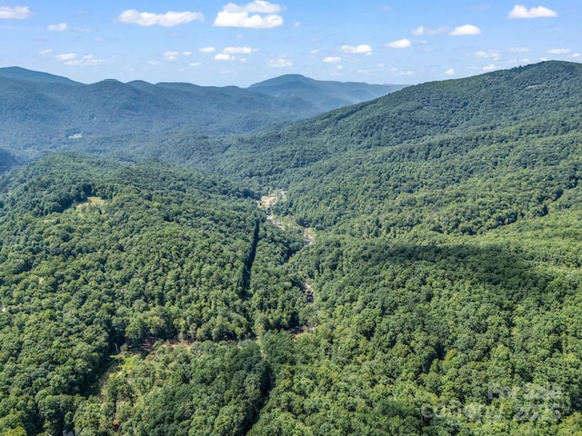 2716 Lower Flat Creek Rd, Black Mountain, NC 28711 - photo 30