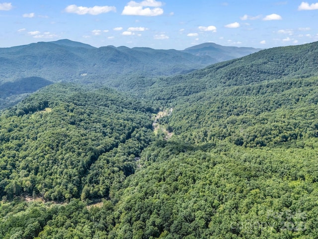 2716 Lower Flat Creek Rd, Black Mountain, NC 28711 - photo 31