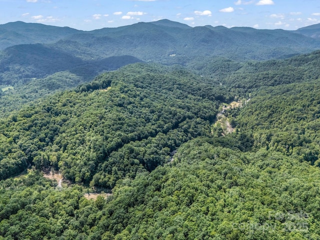 2716 Lower Flat Creek Rd, Black Mountain, NC 28711 - photo 32