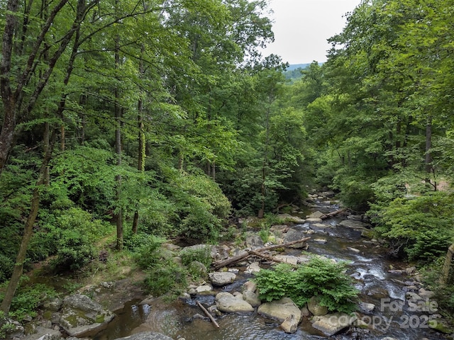 2716 Lower Flat Creek Rd, Black Mountain, NC 28711 - photo 33