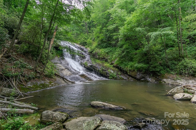 2716 Lower Flat Creek Rd, Black Mountain, NC 28711 - photo 36
