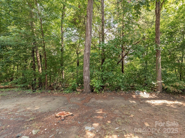 1554 Maypine Commons Way, Rock Hill, SC 29732 - photo 40