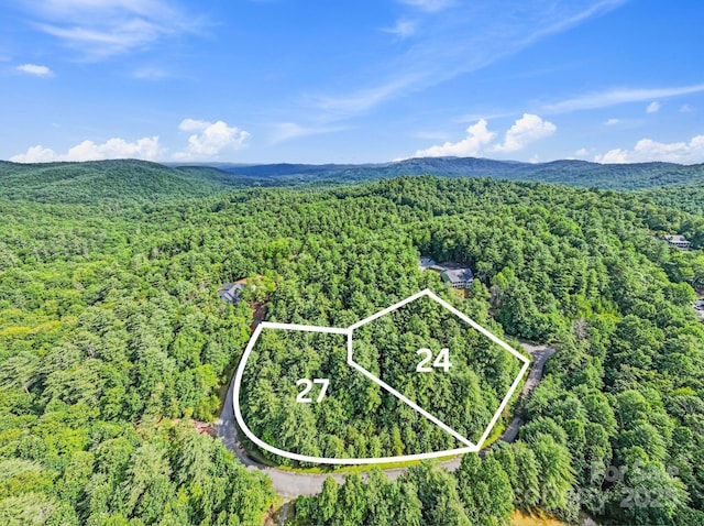 000 Awi Trail 24 & 27, Hendersonville, NC 28739 - photo 1