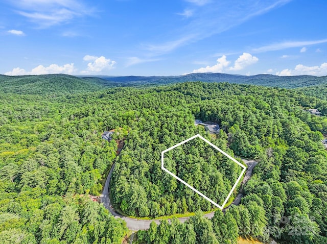 000 Awi Trail 24 & 27, Hendersonville, NC 28739 - photo 2