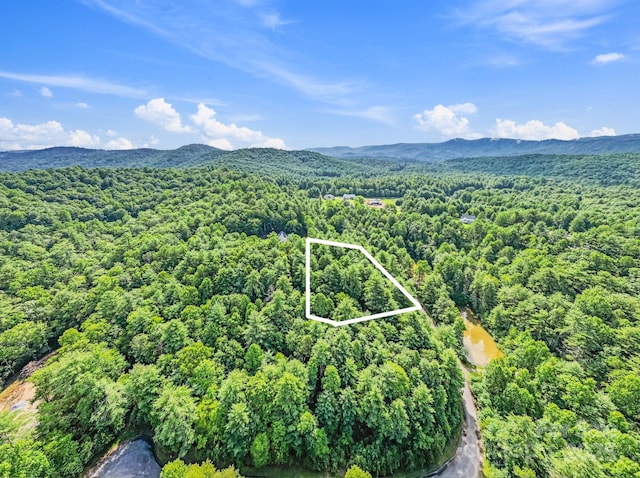 000 Awi Trail 24 & 27, Hendersonville, NC 28739 - photo 4