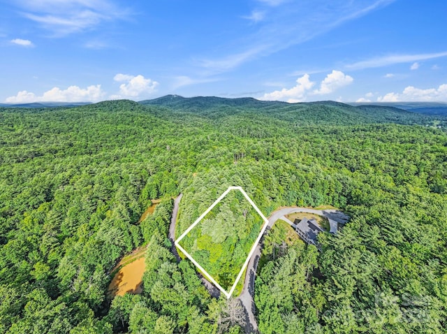 000 Awi Trail 24 & 27, Hendersonville, NC 28739 - photo 5