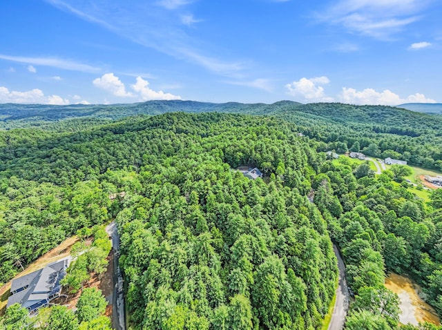 000 Awi Trail 24 & 27, Hendersonville, NC 28739 - photo 11