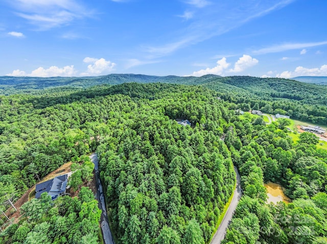 000 Awi Trail 24 & 27, Hendersonville, NC 28739 - photo 12