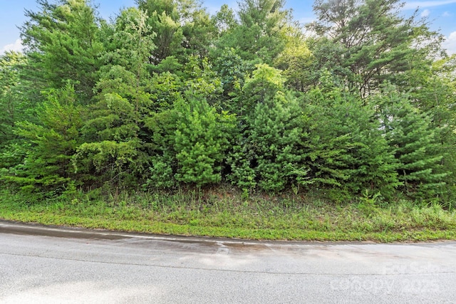 000 Awi Trail 24 & 27, Hendersonville, NC 28739 - photo 18