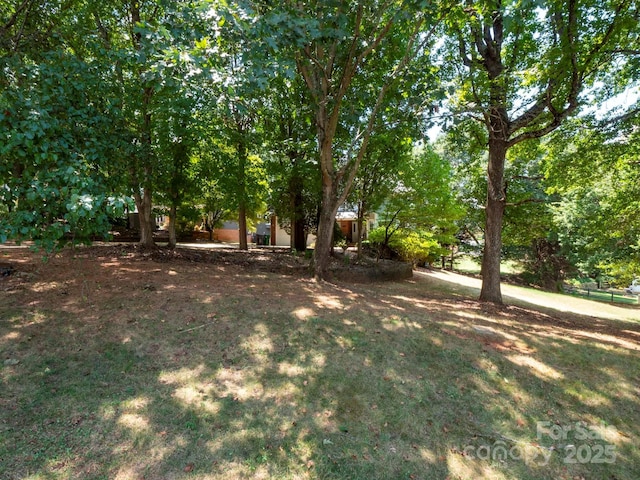 7429 Rock Island Rd, Charlotte, NC 28278 - photo 40