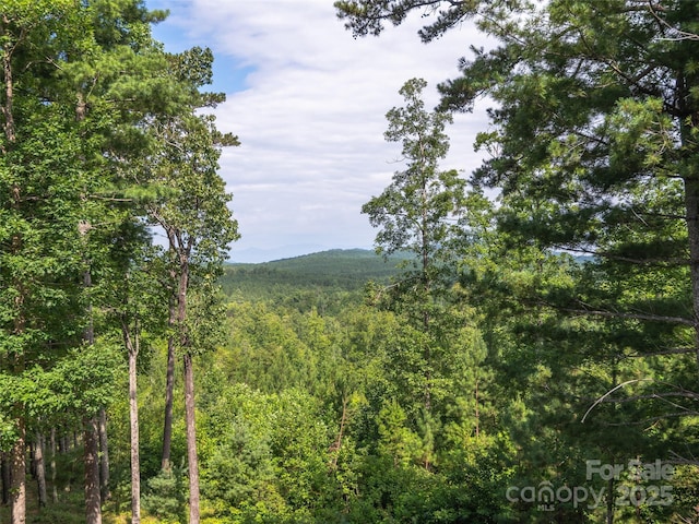 1208 Scenic Vista Dr, Nebo, NC 28761 - photo 30