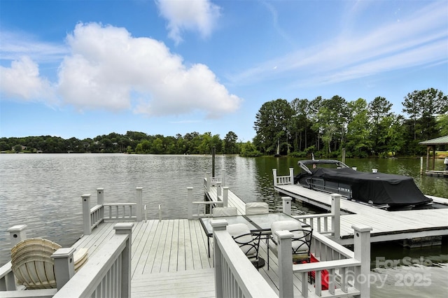 103 Heron Cove Loop, Hickory, NC 28601 - photo 30
