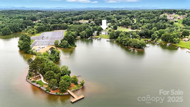 103 Heron Cove Loop, Hickory, NC 28601 - photo 32