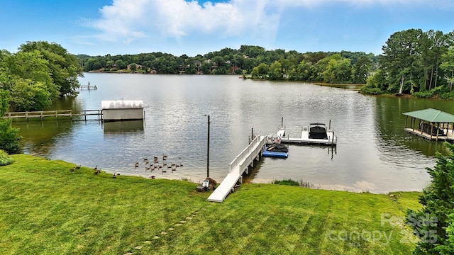 103 Heron Cove Loop, Hickory, NC 28601 - photo 35