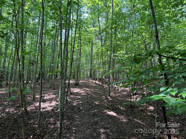 00 Hundred Acres Ln, Lenoir, NC 28645 - photo 2