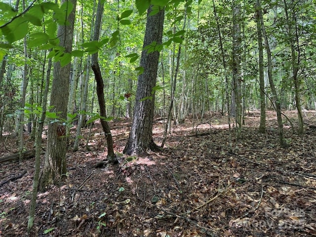 00 Hundred Acres Ln, Lenoir, NC 28645 - photo 4