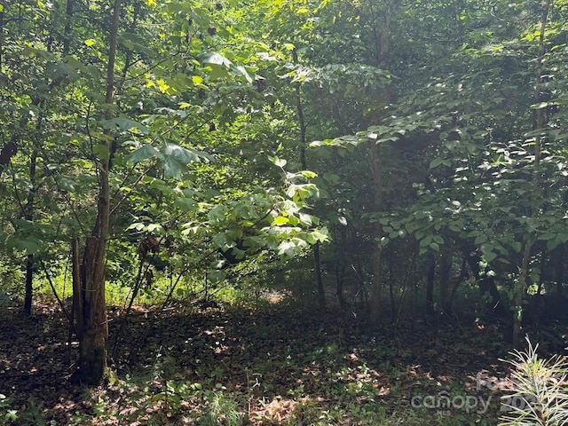 00 Hundred Acres Ln, Lenoir, NC 28645 - photo 5