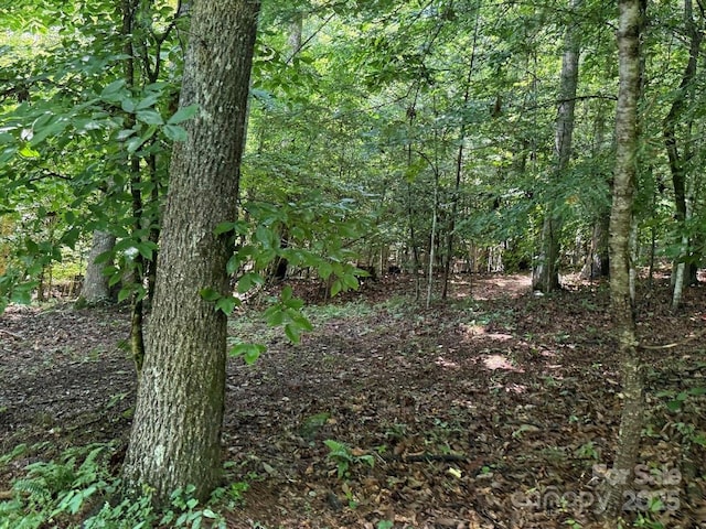 00 Hundred Acres Ln, Lenoir, NC 28645 - photo 6