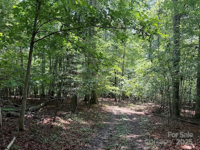 00 Hundred Acres Ln, Lenoir, NC 28645 - photo 8