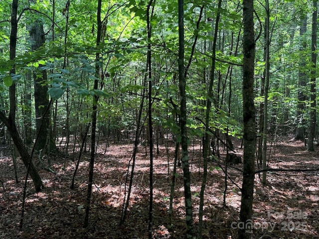 00 Hundred Acres Ln, Lenoir, NC 28645 - photo 9