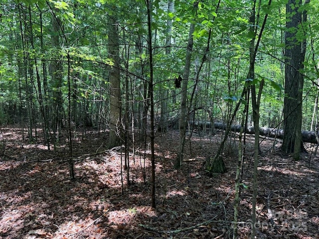 00 Hundred Acres Ln, Lenoir, NC 28645 - photo 10