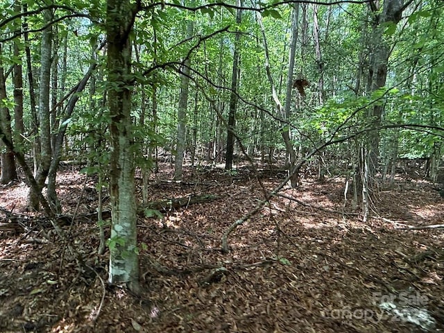 00 Hundred Acres Ln, Lenoir, NC 28645 - photo 11