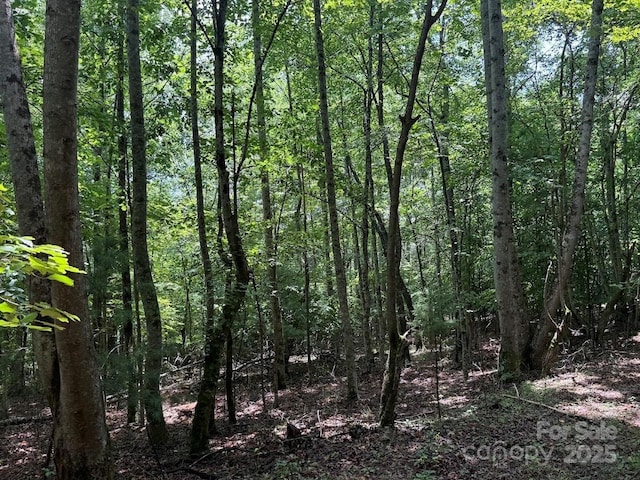 00 Hundred Acres Ln, Lenoir, NC 28645 - photo 12