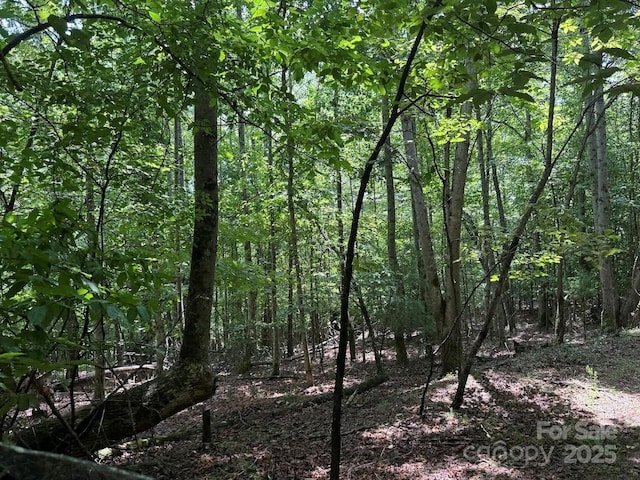 00 Hundred Acres Ln, Lenoir, NC 28645 - photo 13