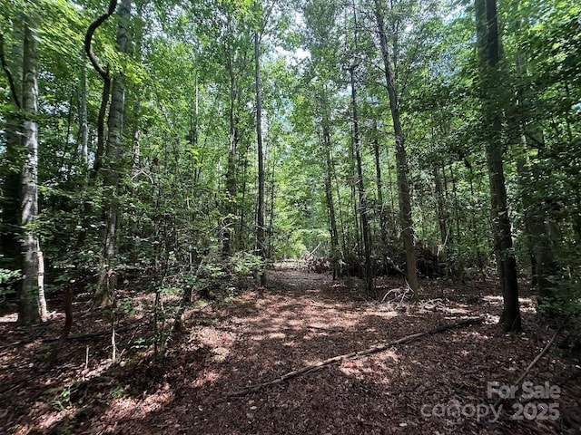 00 Hundred Acres Ln, Lenoir, NC 28645 - photo 14