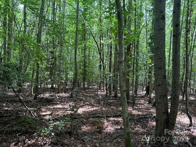 00 Hundred Acres Ln, Lenoir, NC 28645 - photo 15