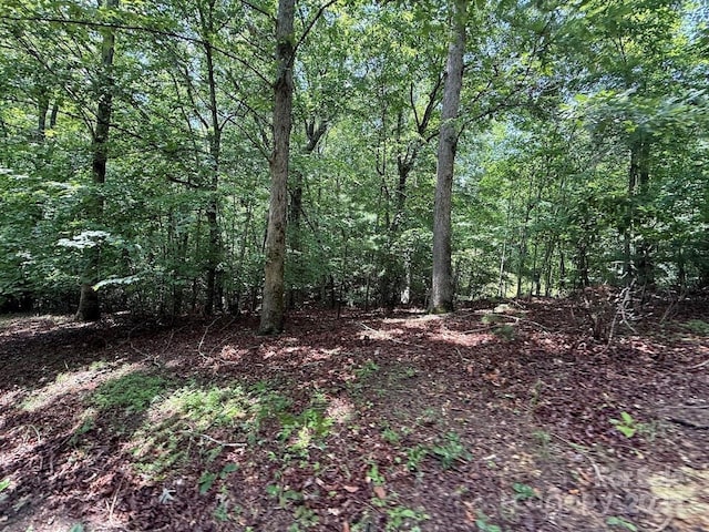 00 Hundred Acres Ln, Lenoir, NC 28645 - photo 16
