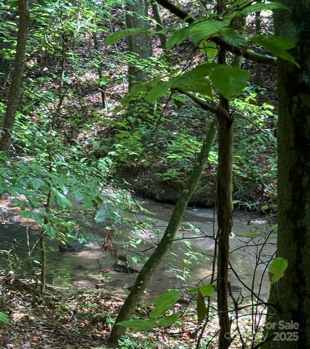 00 Hundred Acres Ln, Lenoir, NC 28645 - photo 18