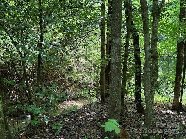 00 Hundred Acres Ln, Lenoir, NC 28645 - photo 19