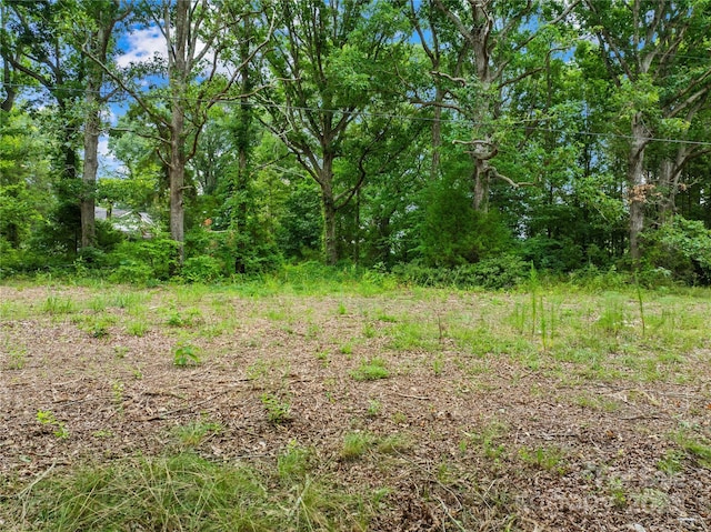 3624 Crow Rd, Monroe, NC 28112 - photo 8