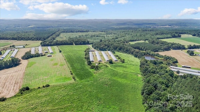 1732 Ether Rd, Star, NC 27356 - photo 1