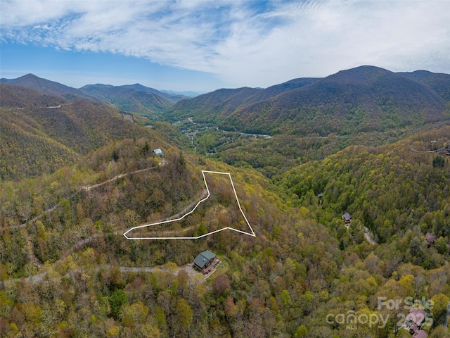 00 Hawk Dr, Maggie Valley, NC 28751 - photo 2