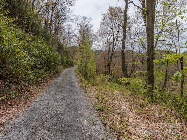 00 Hawk Dr, Maggie Valley, NC 28751 - photo 3