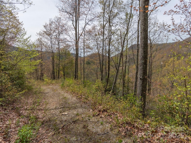 00 Hawk Dr, Maggie Valley, NC 28751 - photo 4