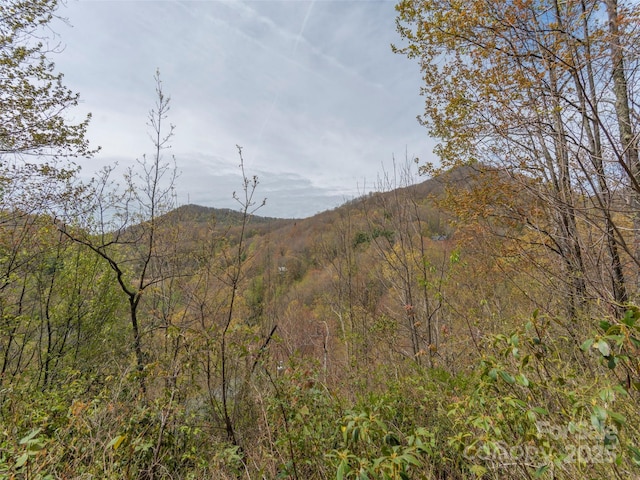 00 Hawk Dr, Maggie Valley, NC 28751 - photo 6