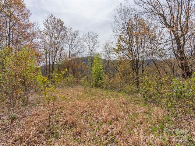 00 Hawk Dr, Maggie Valley, NC 28751 - photo 7