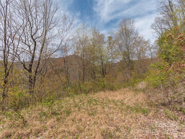 00 Hawk Dr, Maggie Valley, NC 28751 - photo 8