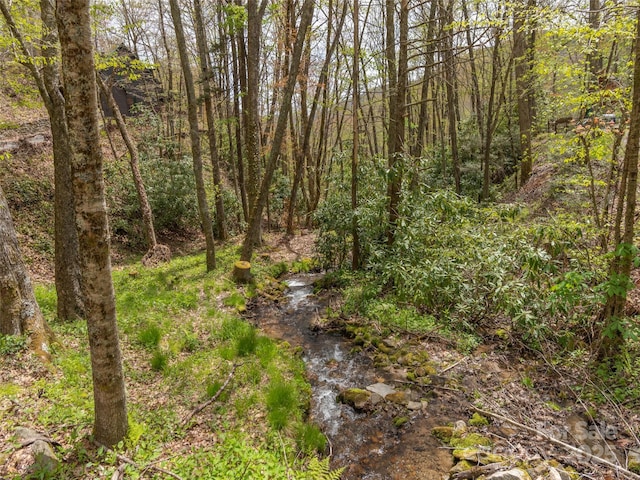 00 Hawk Dr, Maggie Valley, NC 28751 - photo 12