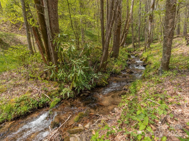 00 Hawk Dr, Maggie Valley, NC 28751 - photo 13