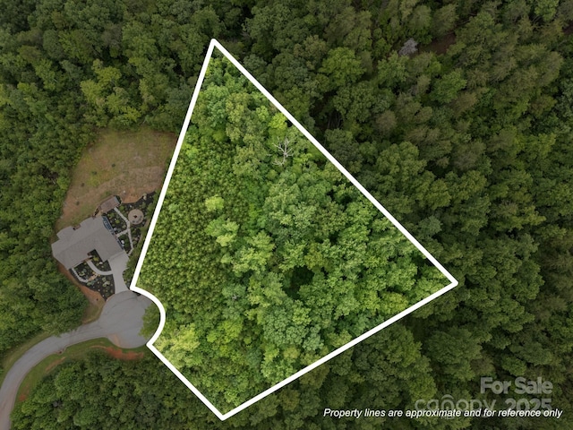 00000 Deer Jump Trl Unit 351, Lake Lure, NC 28746 - photo 1