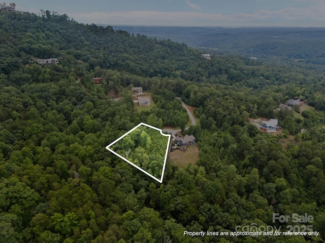 00000 Deer Jump Trl Unit 351, Lake Lure, NC 28746 - photo 2