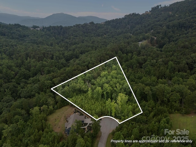 00000 Deer Jump Trl Unit 351, Lake Lure, NC 28746 - photo 3
